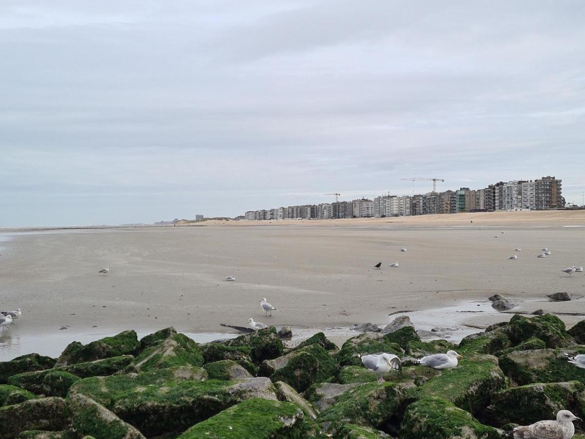 Residence Jersey كوكسيجدي المظهر الخارجي الصورة